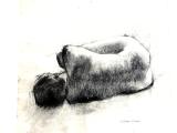 Reclining nude