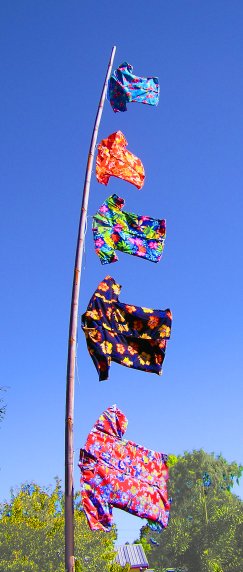 Pole A