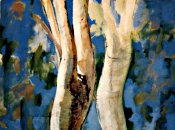 Ghost Gums