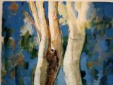 Ghost Gums
